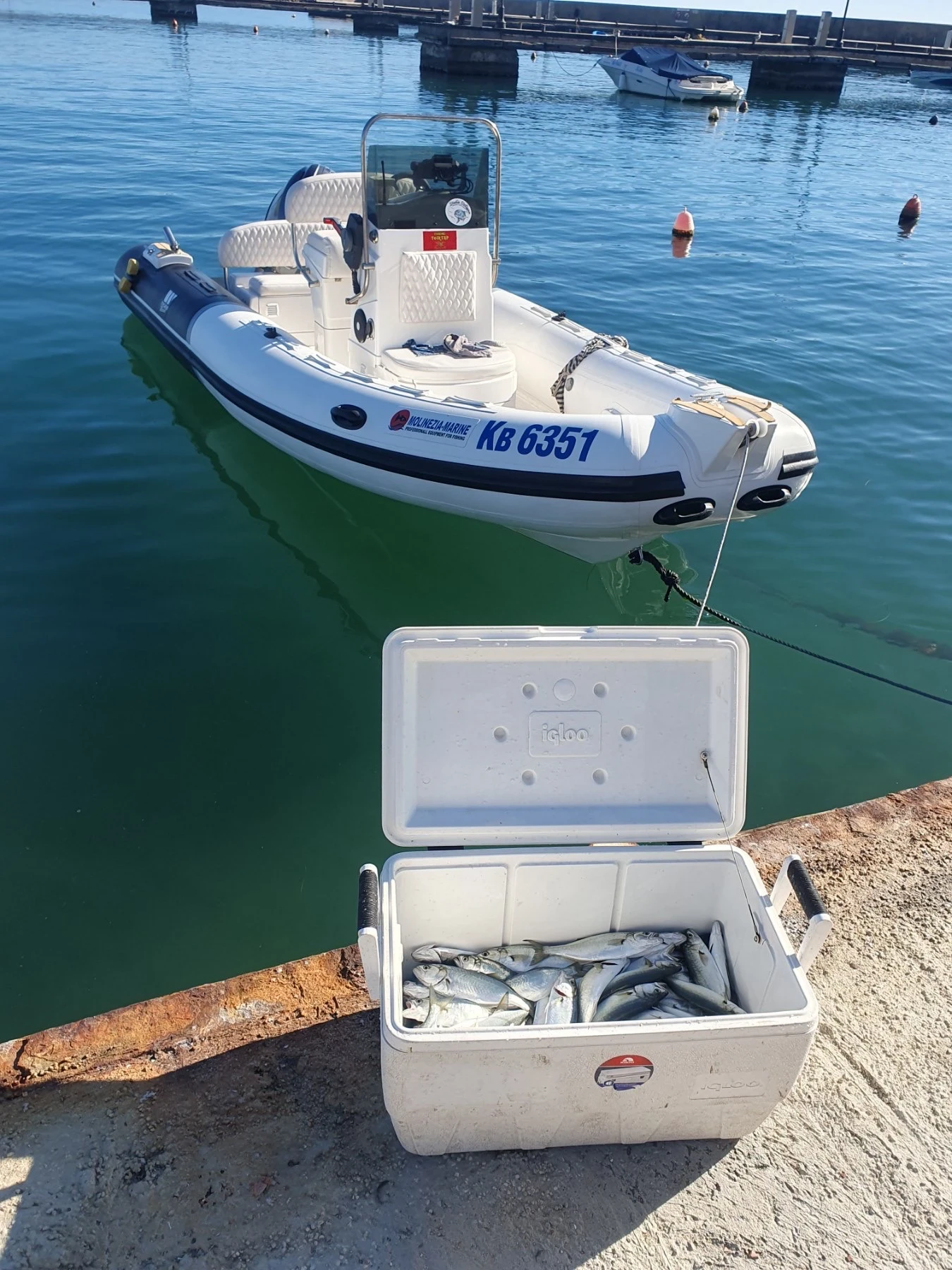 ����� ��������� ������������ TIGER MARINE PROLINE 550 | Mobile.bg � ����������� 2