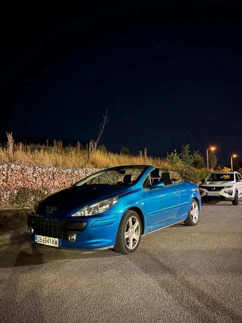 Peugeot 307, снимка 8 - Автомобили и джипове - 48018436