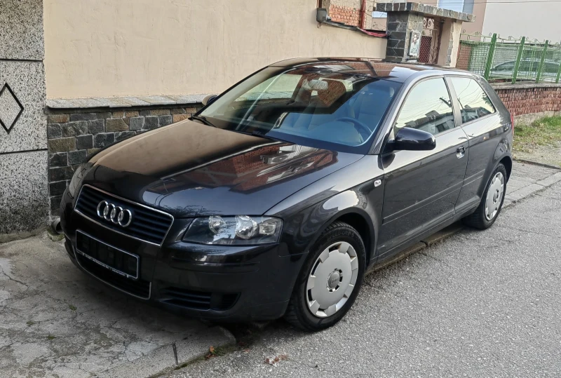 Audi A3 1.9 TDI* 105* 217 хил реални км, снимка 4 - Автомобили и джипове - 52886302