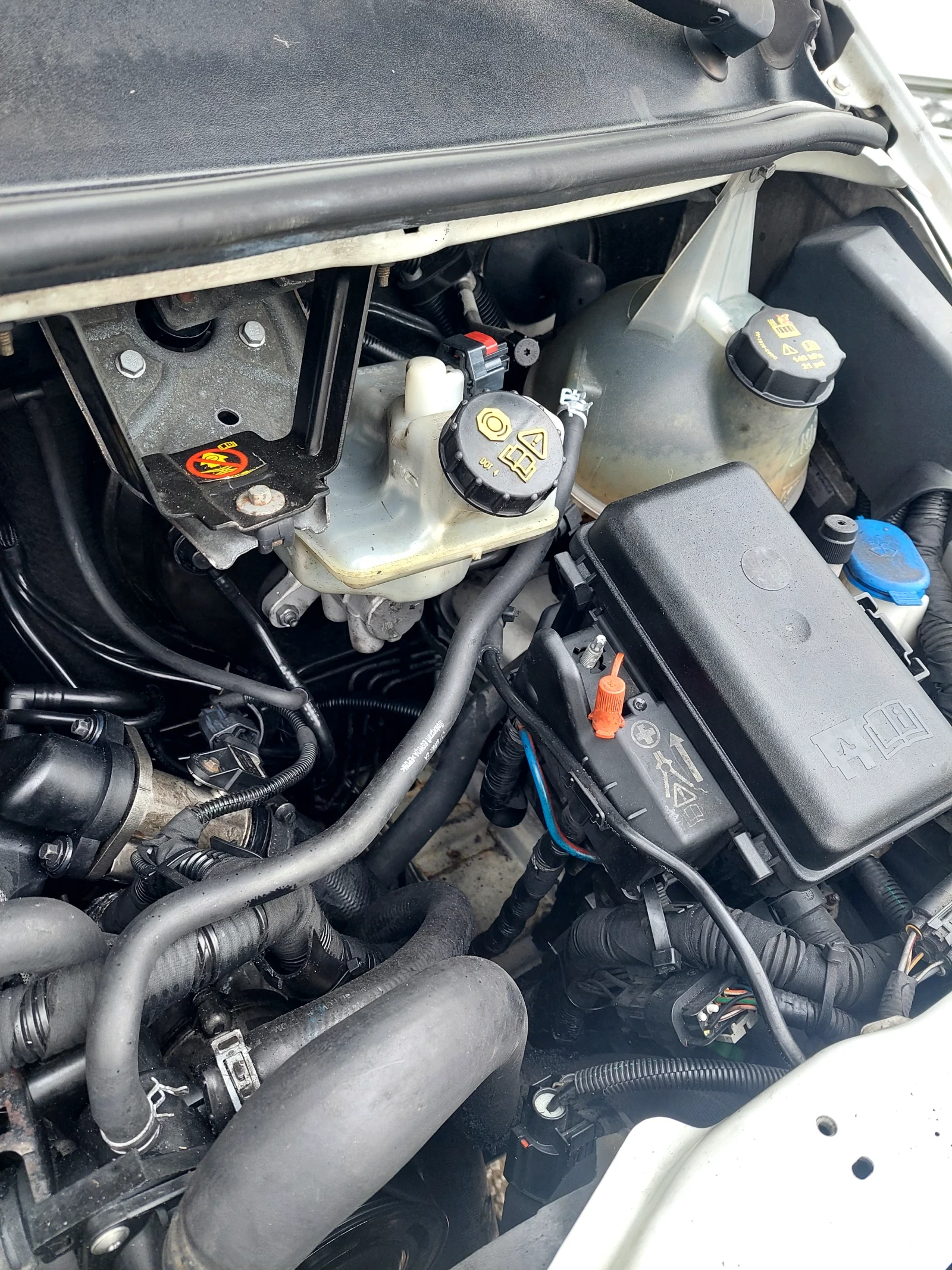 Ford Transit ���� | Mobile.bg � ����������� 15