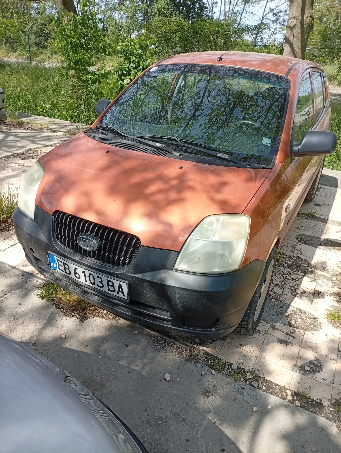 Kia Picanto 1.1 | Mobile.bg � ����������� 3