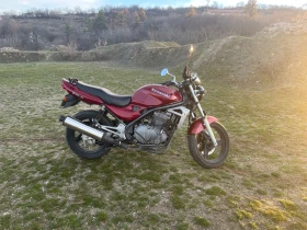 Kawasaki ER 500 A, снимка 2