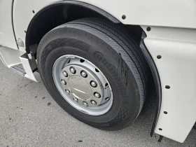 Man Tgx, снимка 16