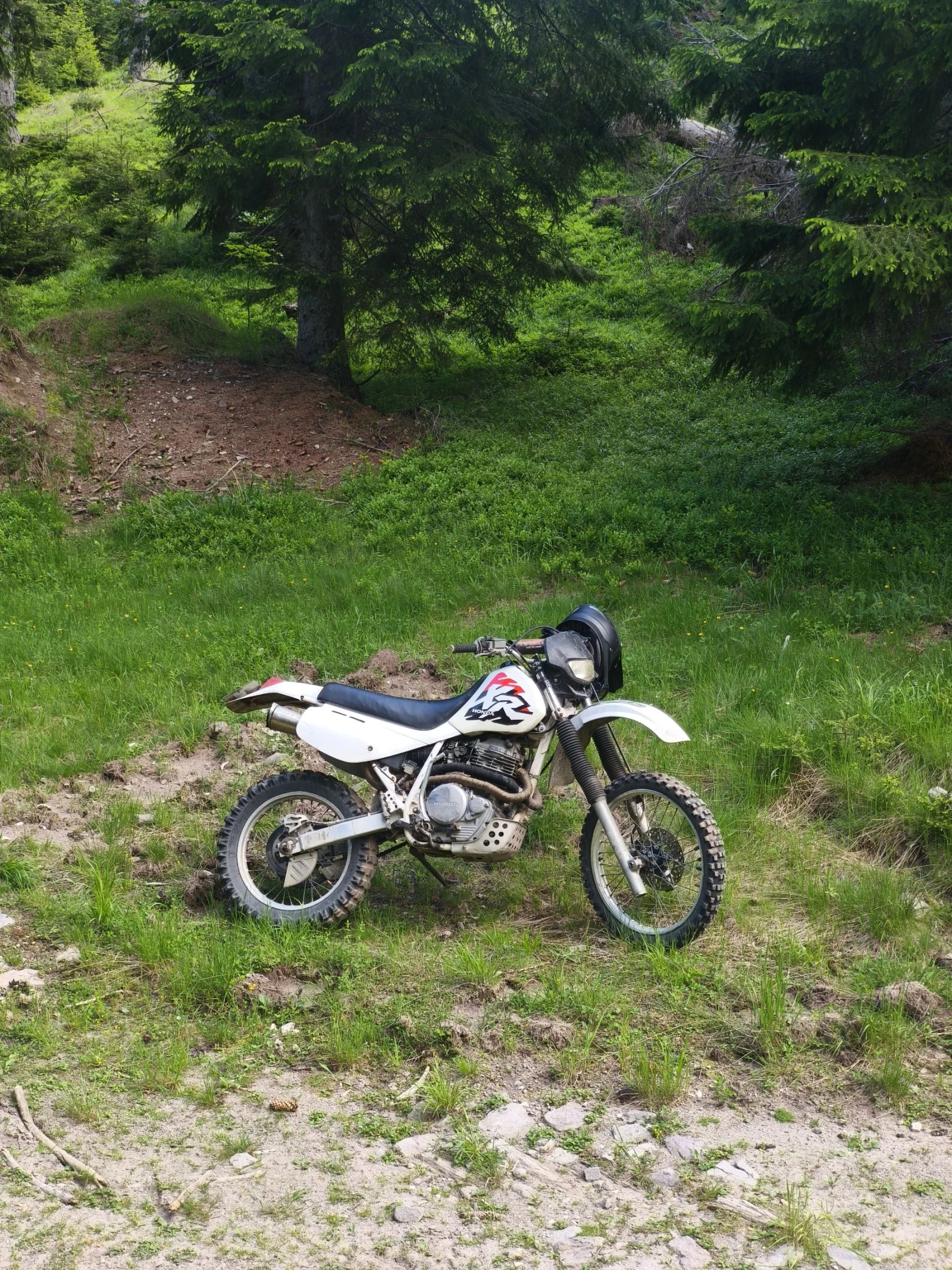 Honda Xr