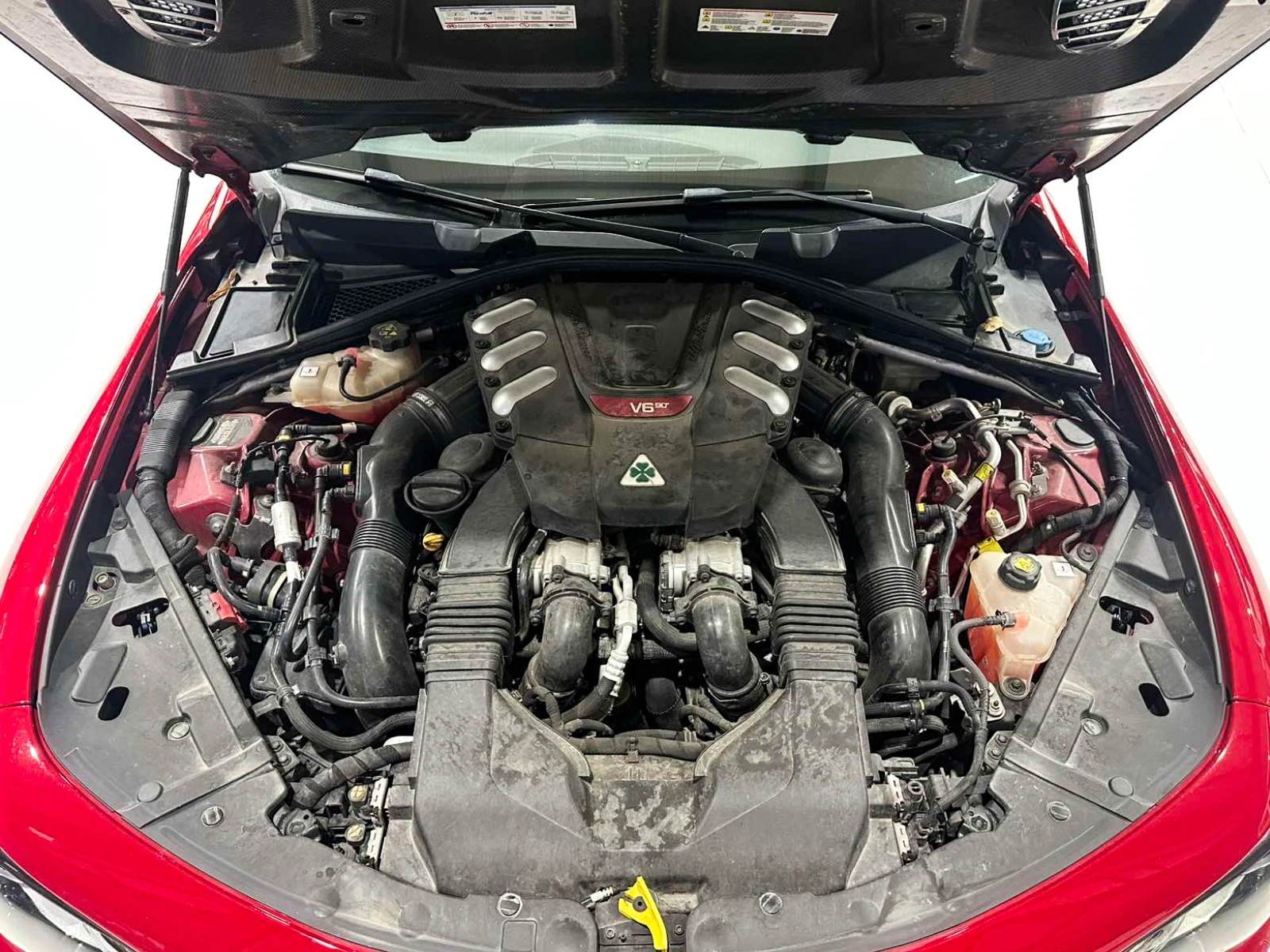 Alfa Romeo Giulia Quadrifoglio, снимка 15 - Автомобили и джипове - 53723842