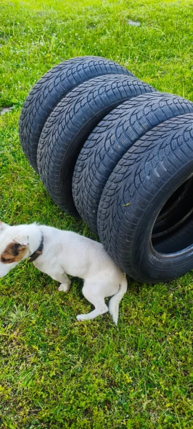 Гуми Зимни 205/70R15, снимка 11
