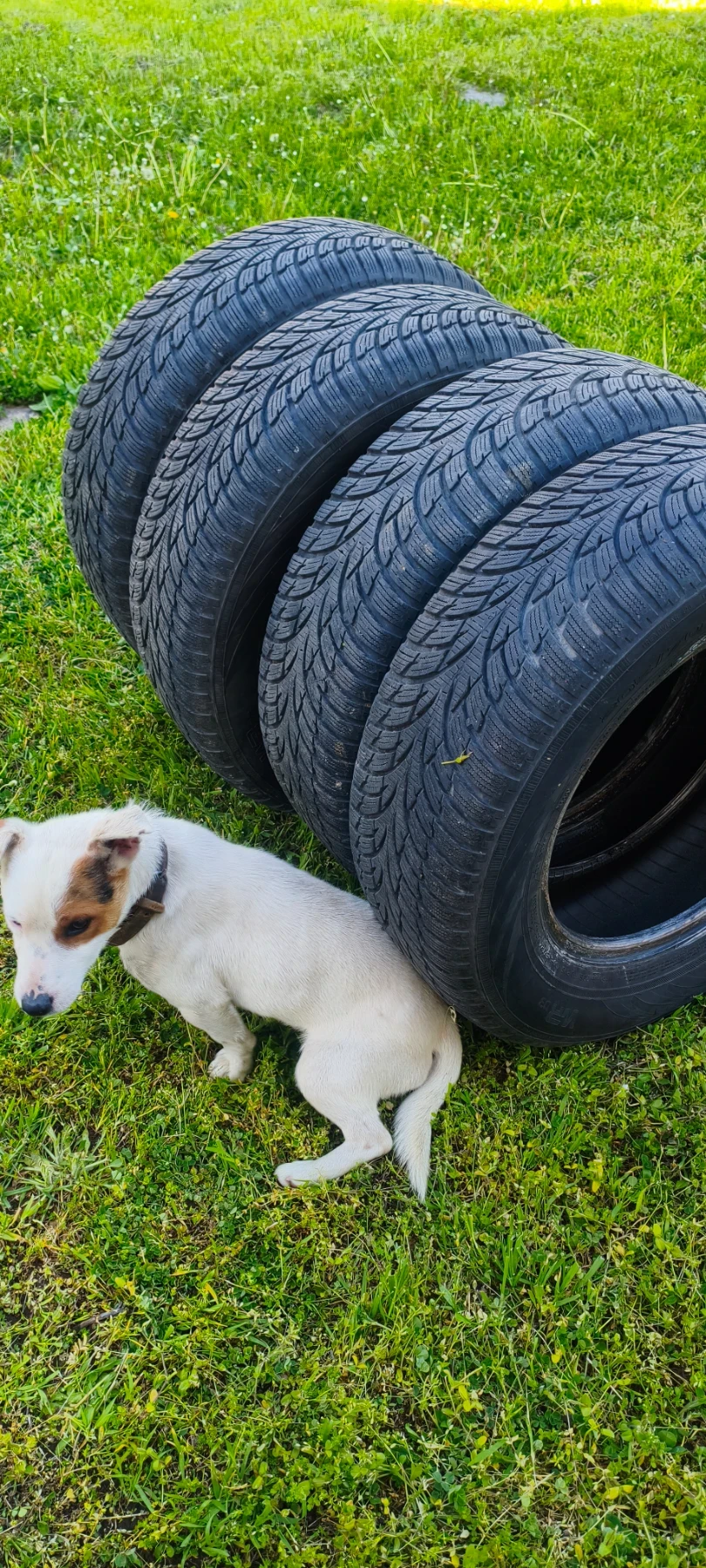 Гуми Зимни 205/70R15, снимка 10 - Гуми и джанти - 54381926