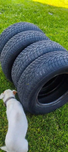 ���� 205/70R15 | Mobile.bg � ����� ������ 9