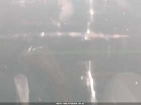 Tesla Model 3 REAR-WHEEL DRIVE, снимка 8