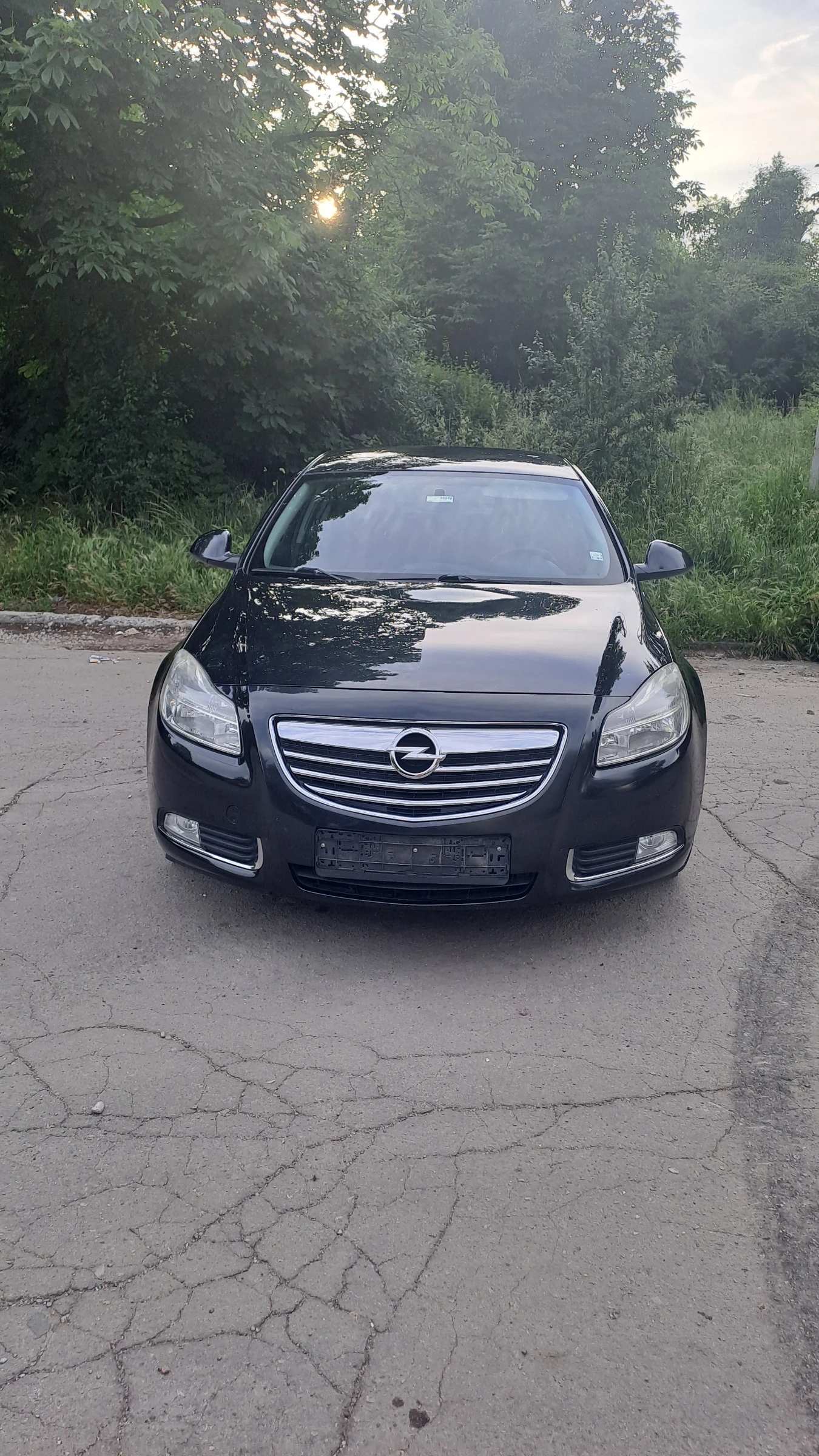 Opel Insignia 2.0 Turbo 4х4 , снимка 1