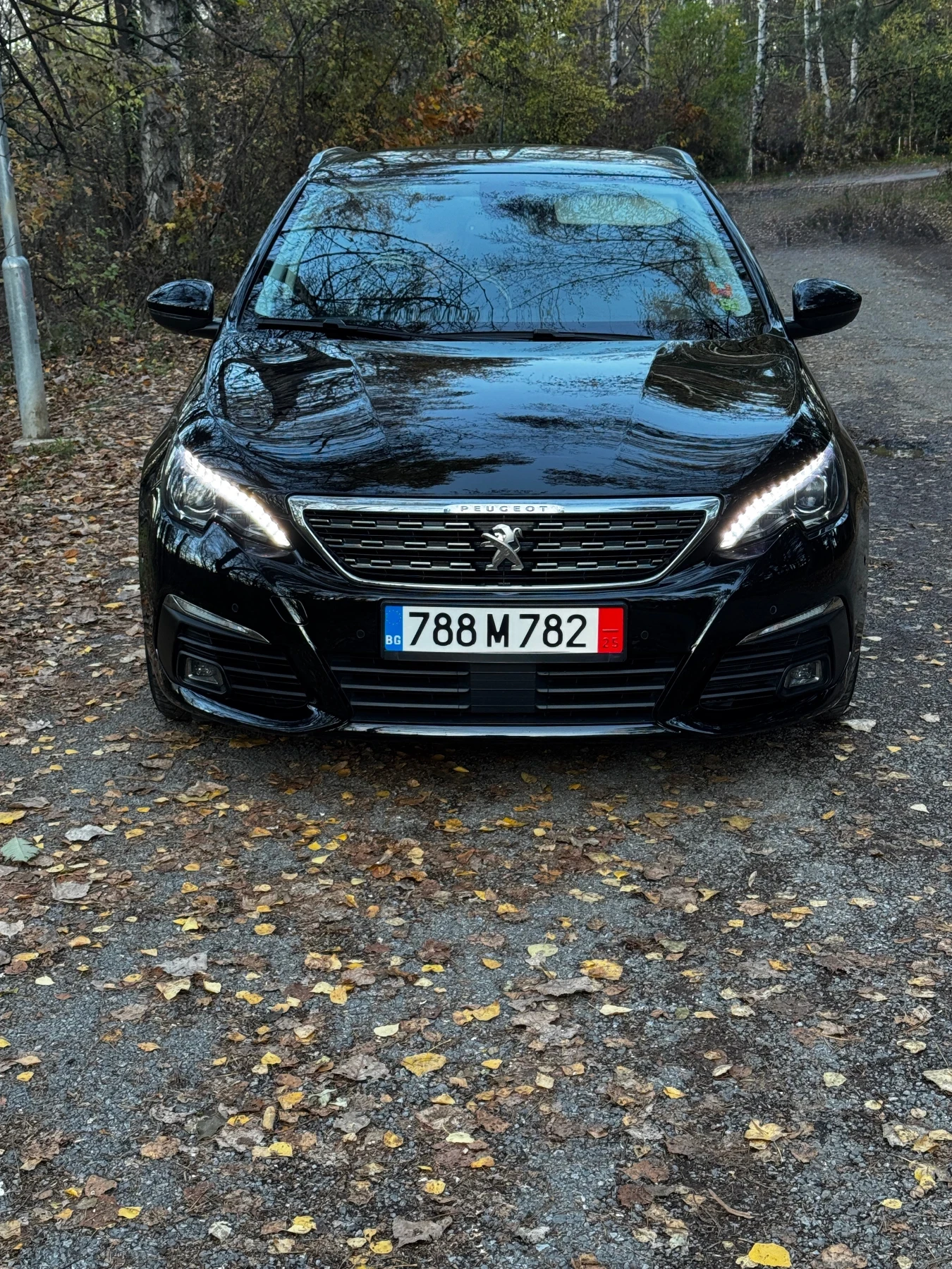 Peugeot 308, снимка 1