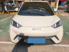 BYD Seagull BYD Seagull BEV Single Motor, снимка 1