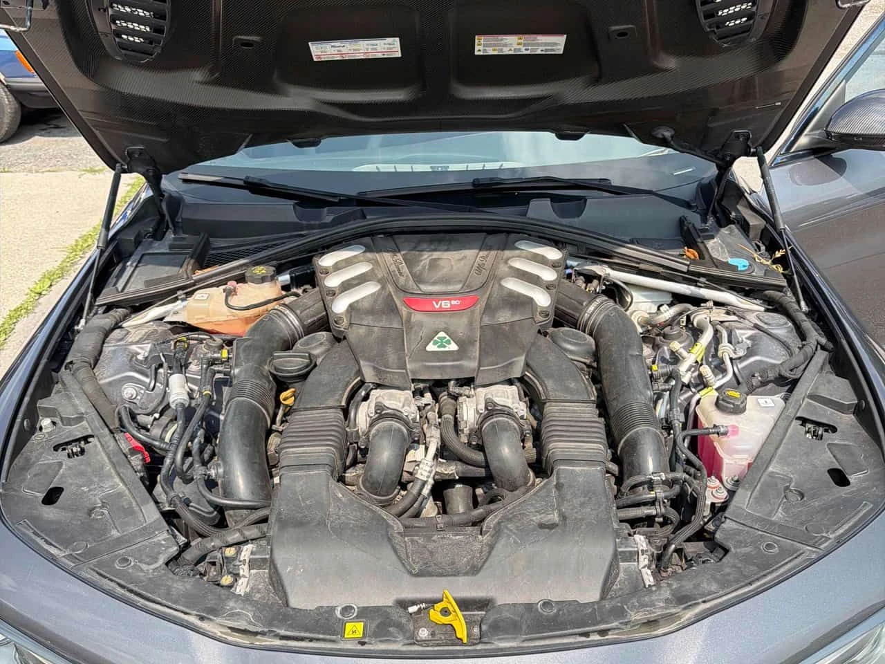 Alfa Romeo Giulia Quadrifoglio  CARFAX, снимка 13 - Автомобили и джипове - 55476675