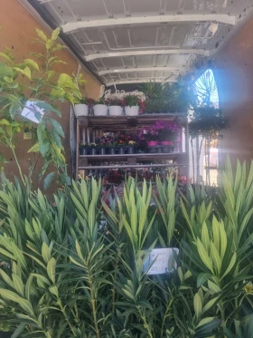 Renault Master, снимка 5