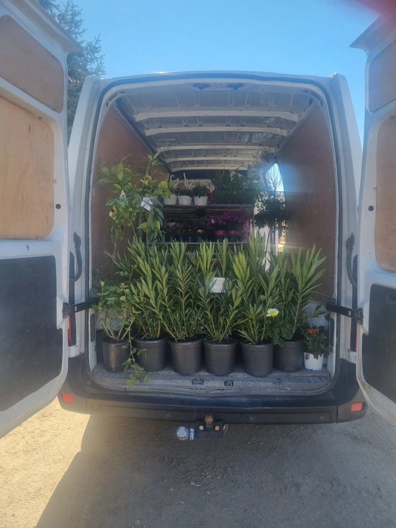 Renault Master, снимка 4 - Бусове и автобуси - 52592097