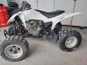 Yamaha Raptor 250 YFM, снимка 3