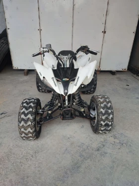 Yamaha Raptor 250 YFM