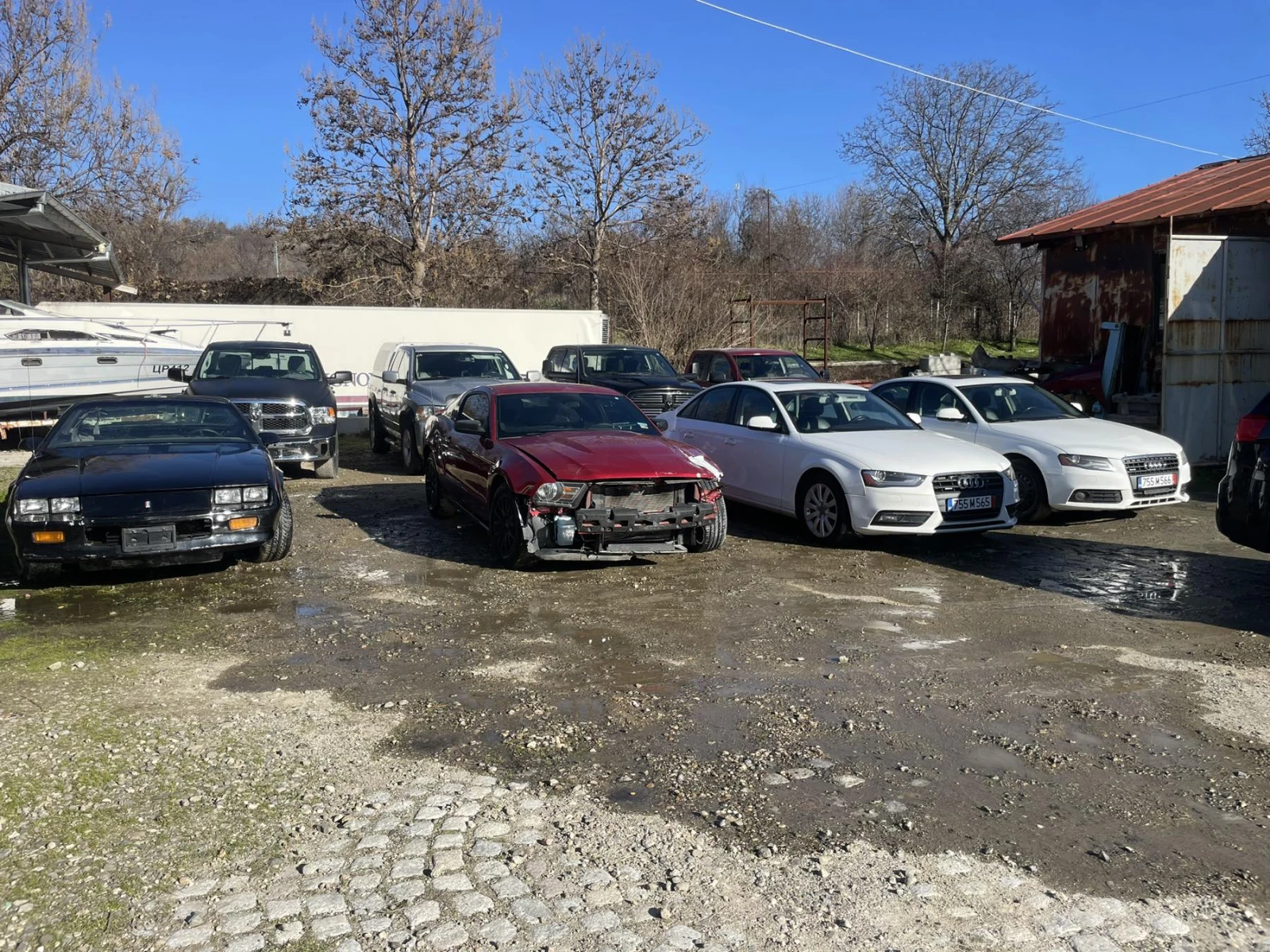 Ford Mustang  - изображение 3