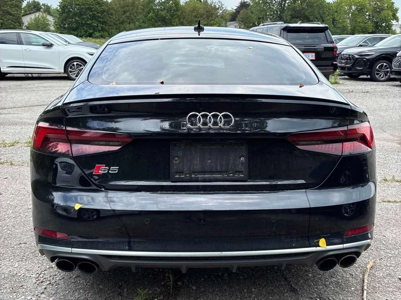 Audi S5 | Technik | DISTRONIC | 360 | HUD | + ГУМИ ДЖАНТИ|, снимка 4 - Автомобили и джипове - 54877864