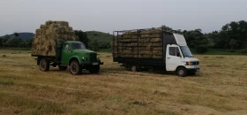 Mercedes-Benz 310, снимка 4