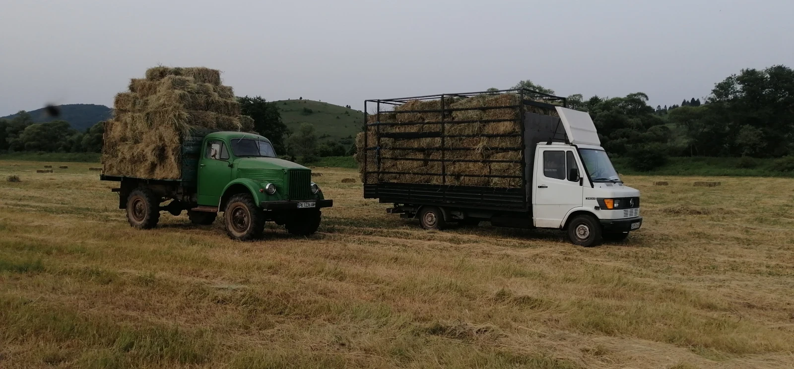 Mercedes-Benz 310, снимка 4 - Камиони - 55643926