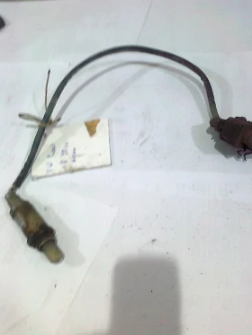 ����� �� �������� �� ������ ����� �� ���� (����������,����)