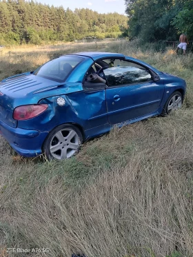 ����� �� �������� �� Peugeot 206 Cc