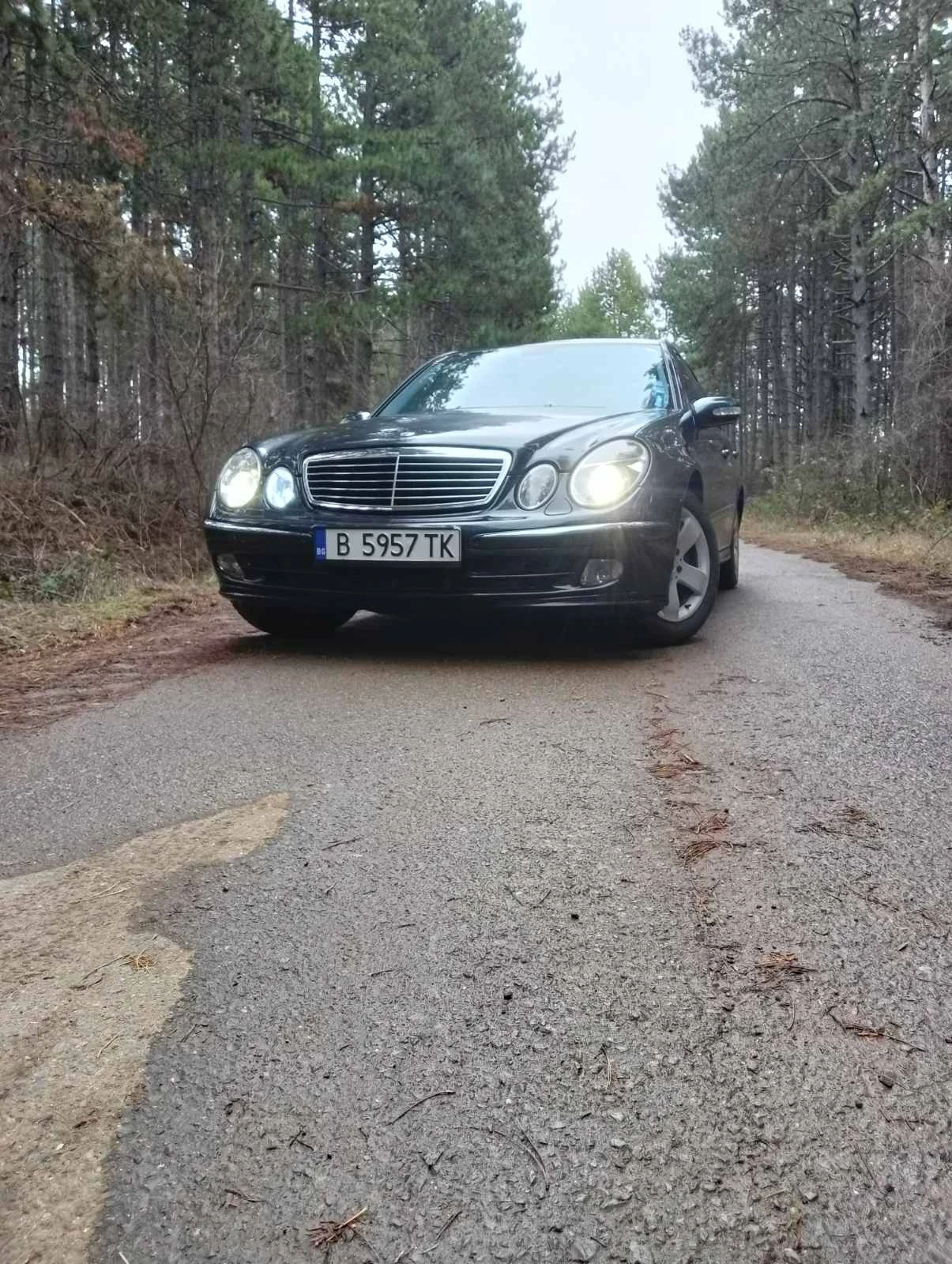 Mercedes-Benz E 200 2.0 Compressor - изображение 2