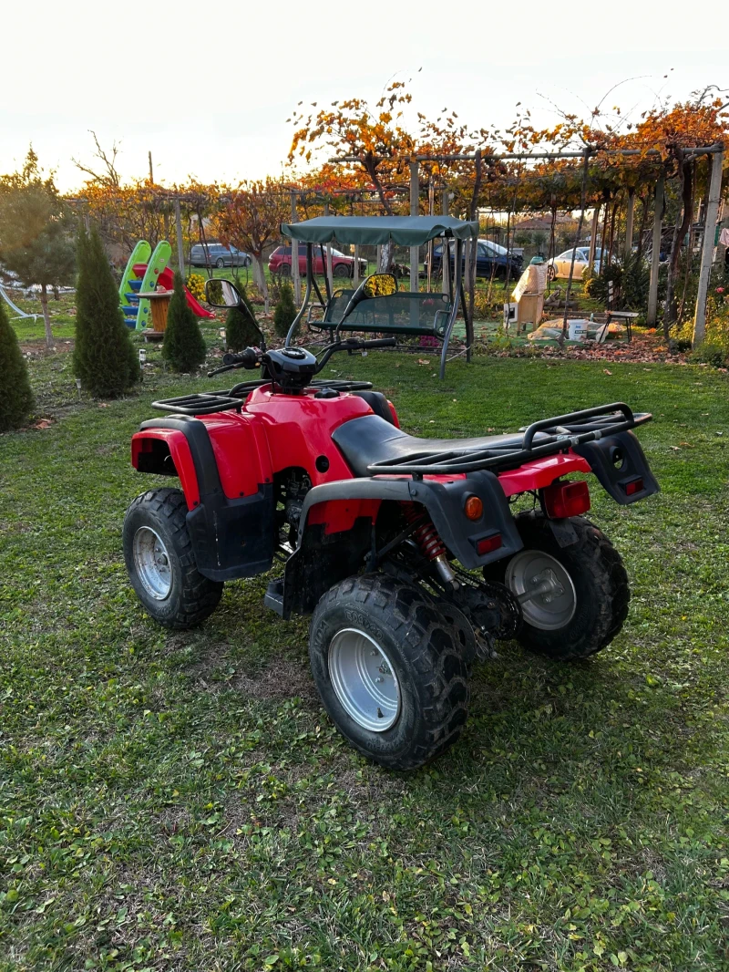 ADLI 50 Атв, снимка 4 - Мотоциклети и мототехника - 52495946