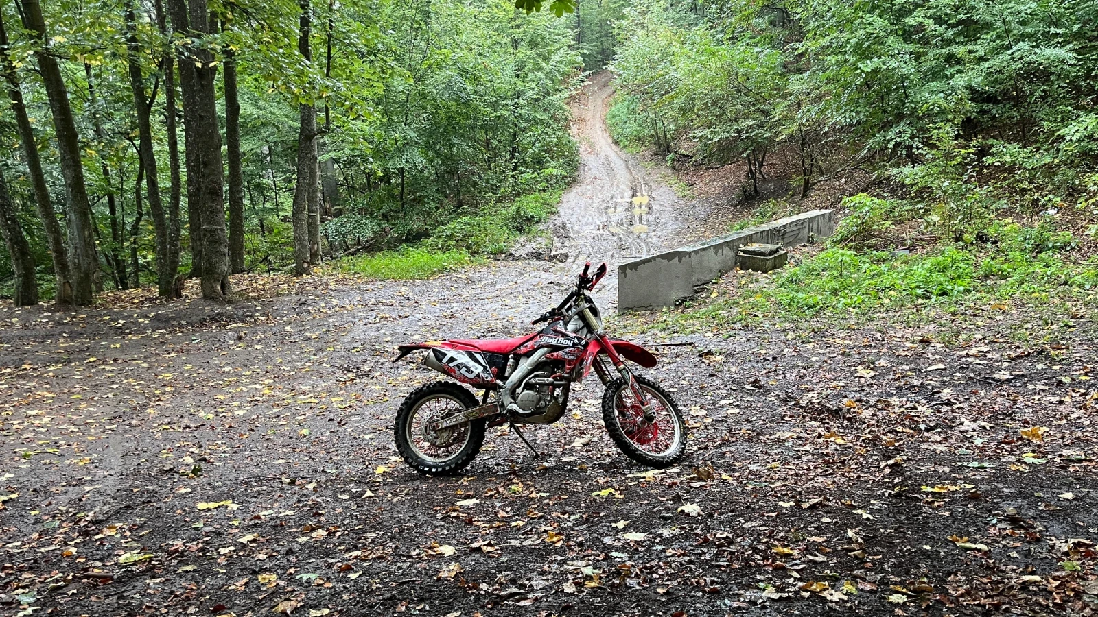 Honda Crf 250x стартер - изображение 5