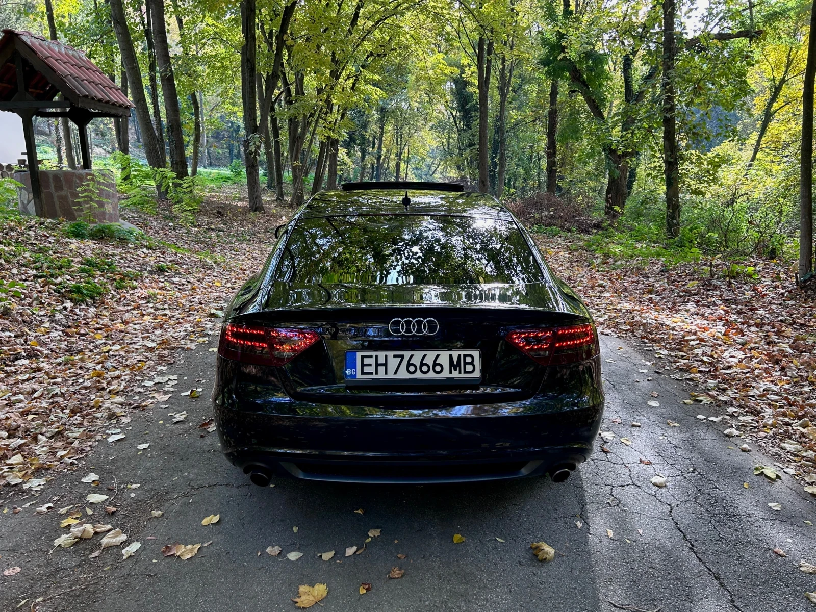 Audi A5 S LINE/SPORTBACK A5/QUATRO 30TDI/BANG&OLUFSEN - изображение 3