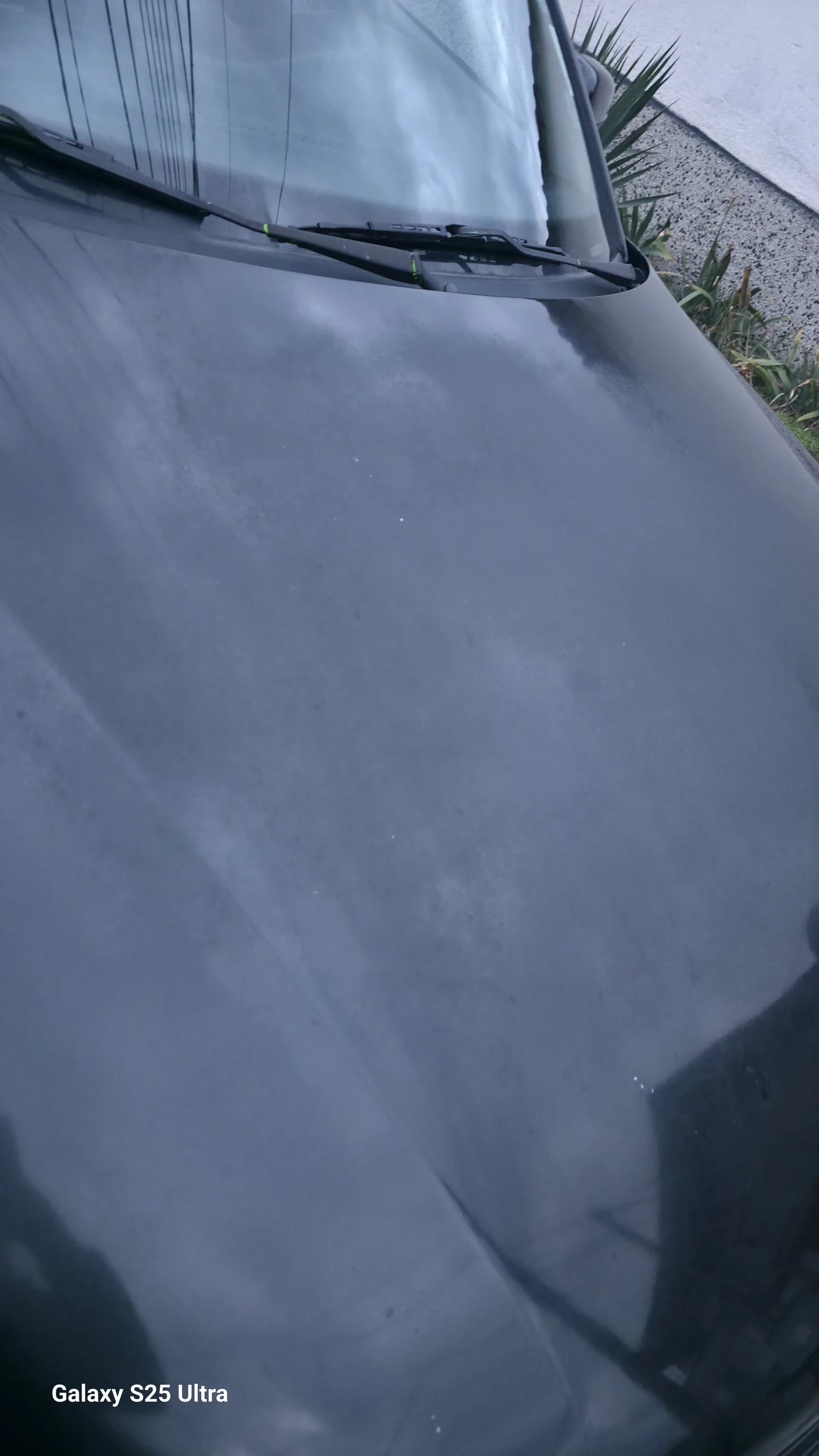 VW Passat  - изображение 3