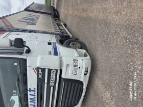 Daf Xf 95.480 ������  | Mobile.bg � ����� ������ 2