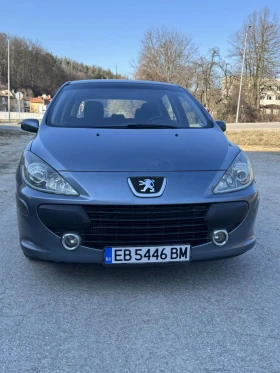 Peugeot 307 1.6hdi, снимка 6