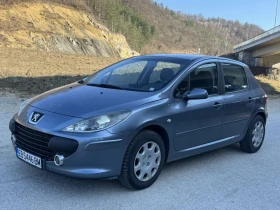 Peugeot 307 1.6hdi, снимка 1