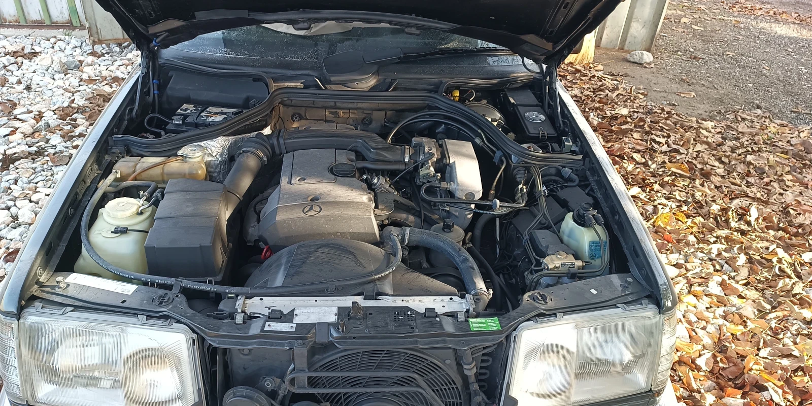 Mercedes-Benz 124 �200 | Mobile.bg � ����������� 12