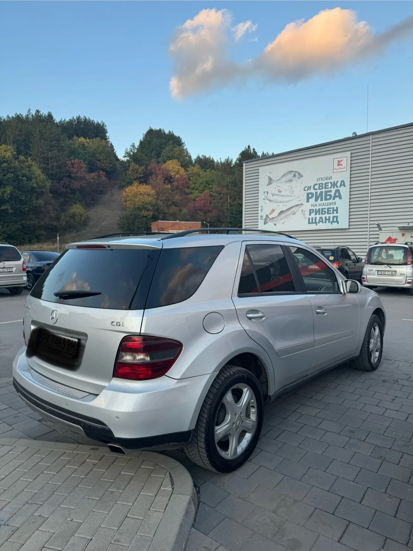 Mercedes-Benz ML 320  - изображение 5