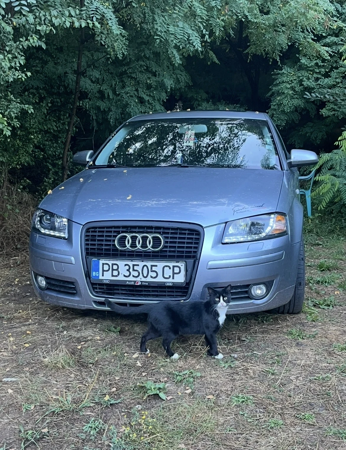 Audi A3, снимка 8 - Автомобили и джипове - 54122909