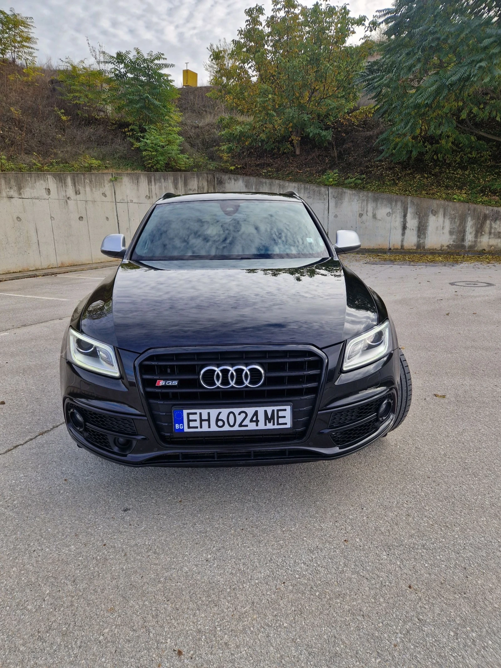 Audi SQ5  - изображение 2