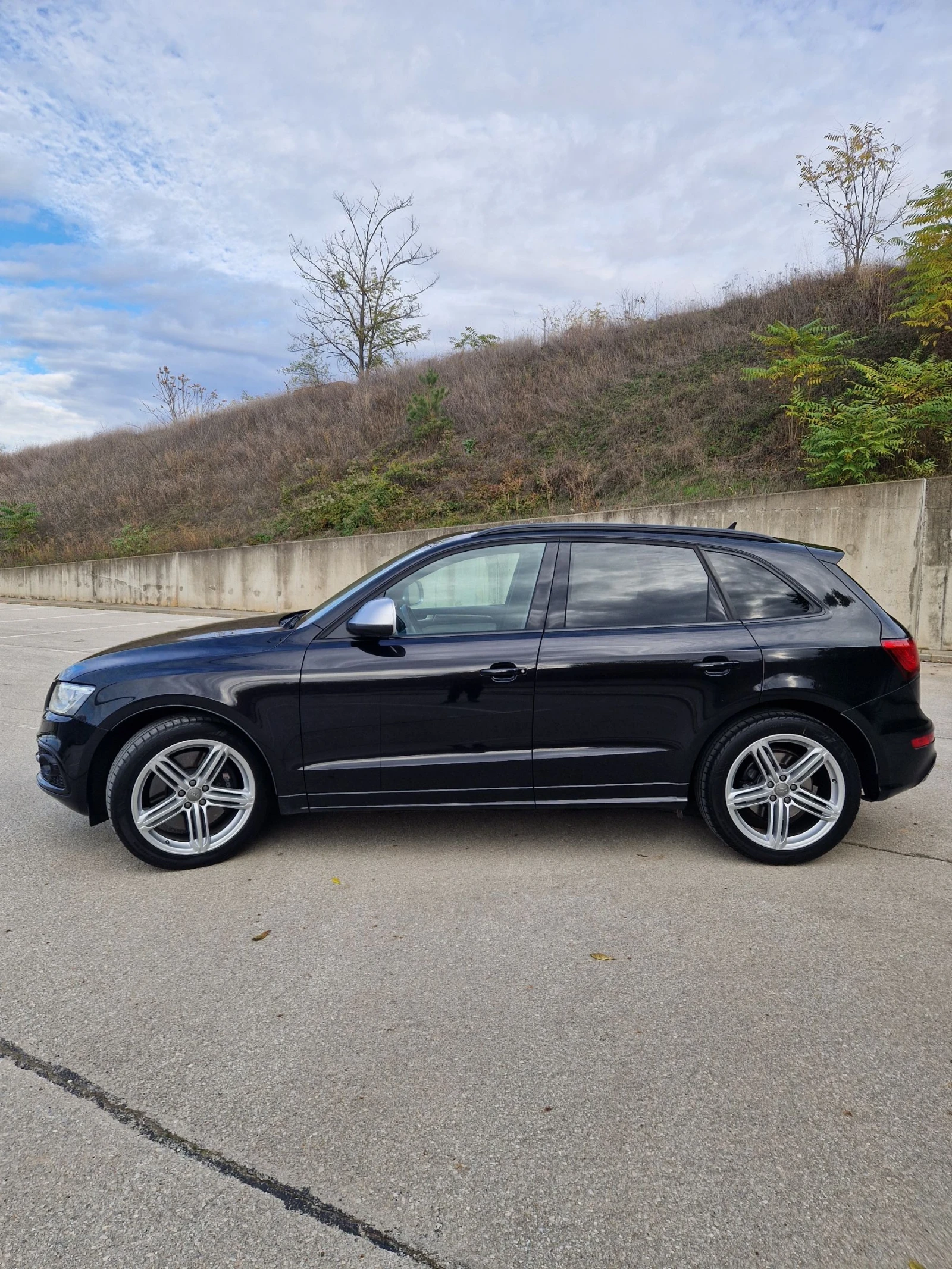 Audi SQ5  - изображение 4