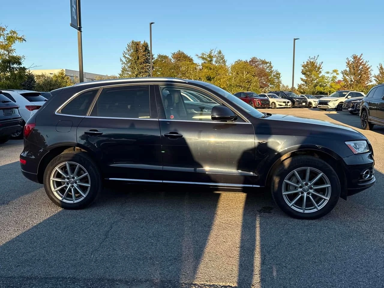 Audi Q5 * 3.0T Technik * CARFAX * ОПЦИЯ ЗА ФИНАНСИРАНЕ * , снимка 3 - Автомобили и джипове - 56220988