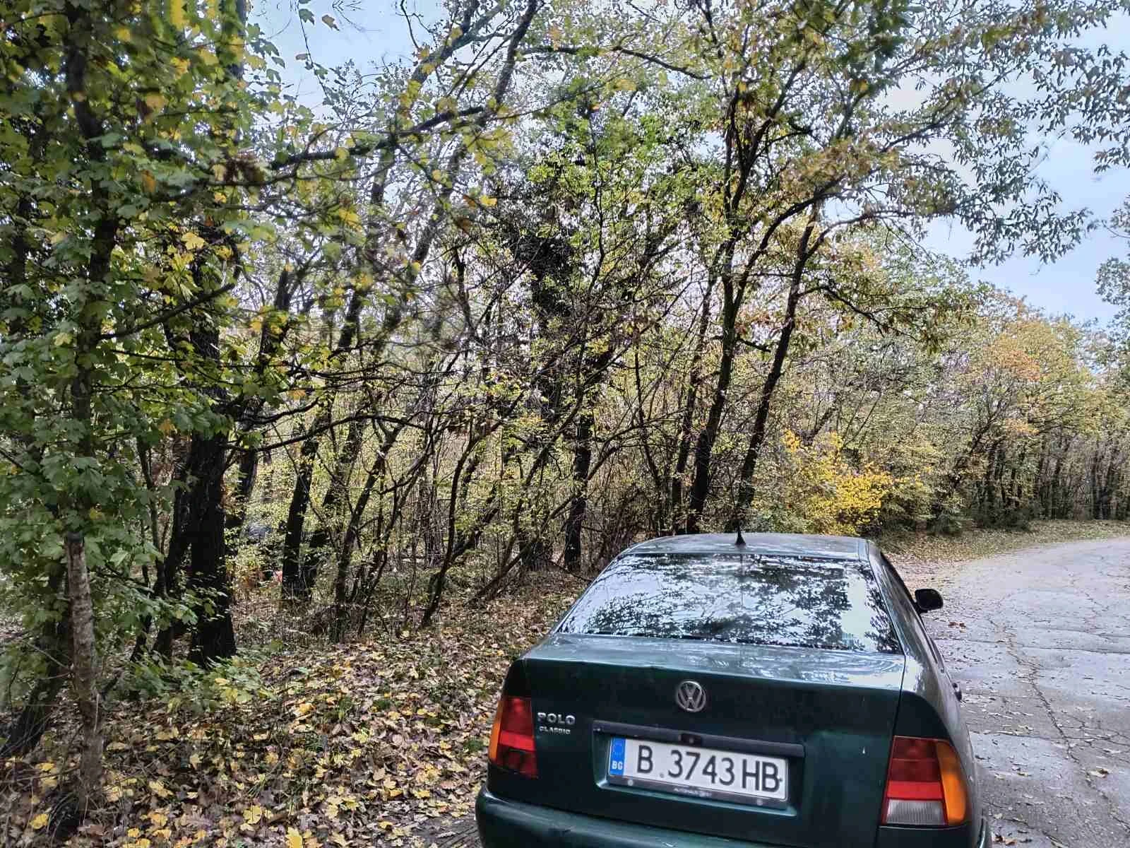 VW Polo ����� | Mobile.bg � ����������� 4