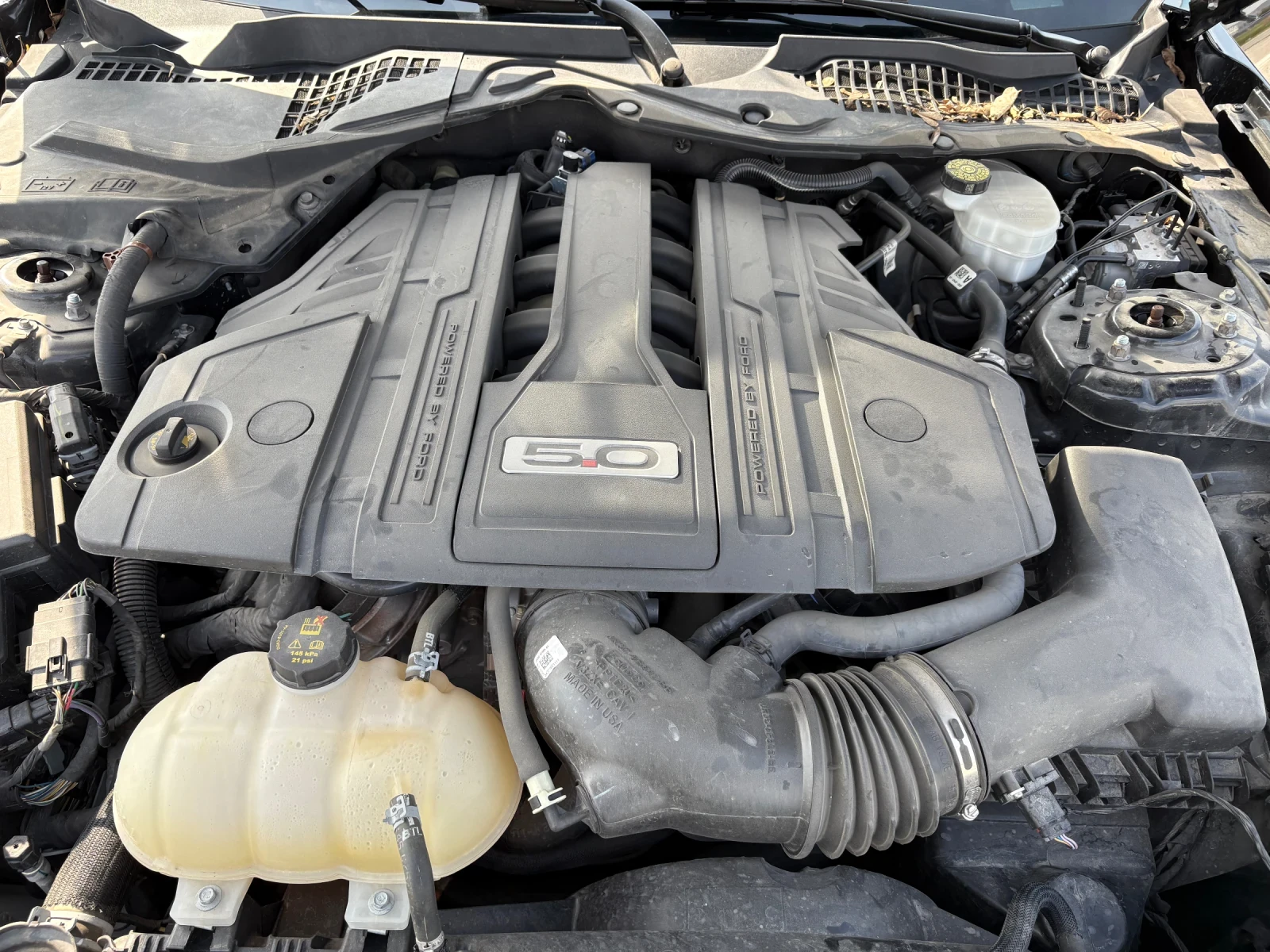 Ford Mustang 5.0 GT-456k.s, снимка 14 - Автомобили и джипове - 53885172