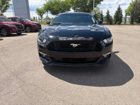 Ford Mustang GT/CARFAX/ФИНАНСИРАНЕ, снимка 6