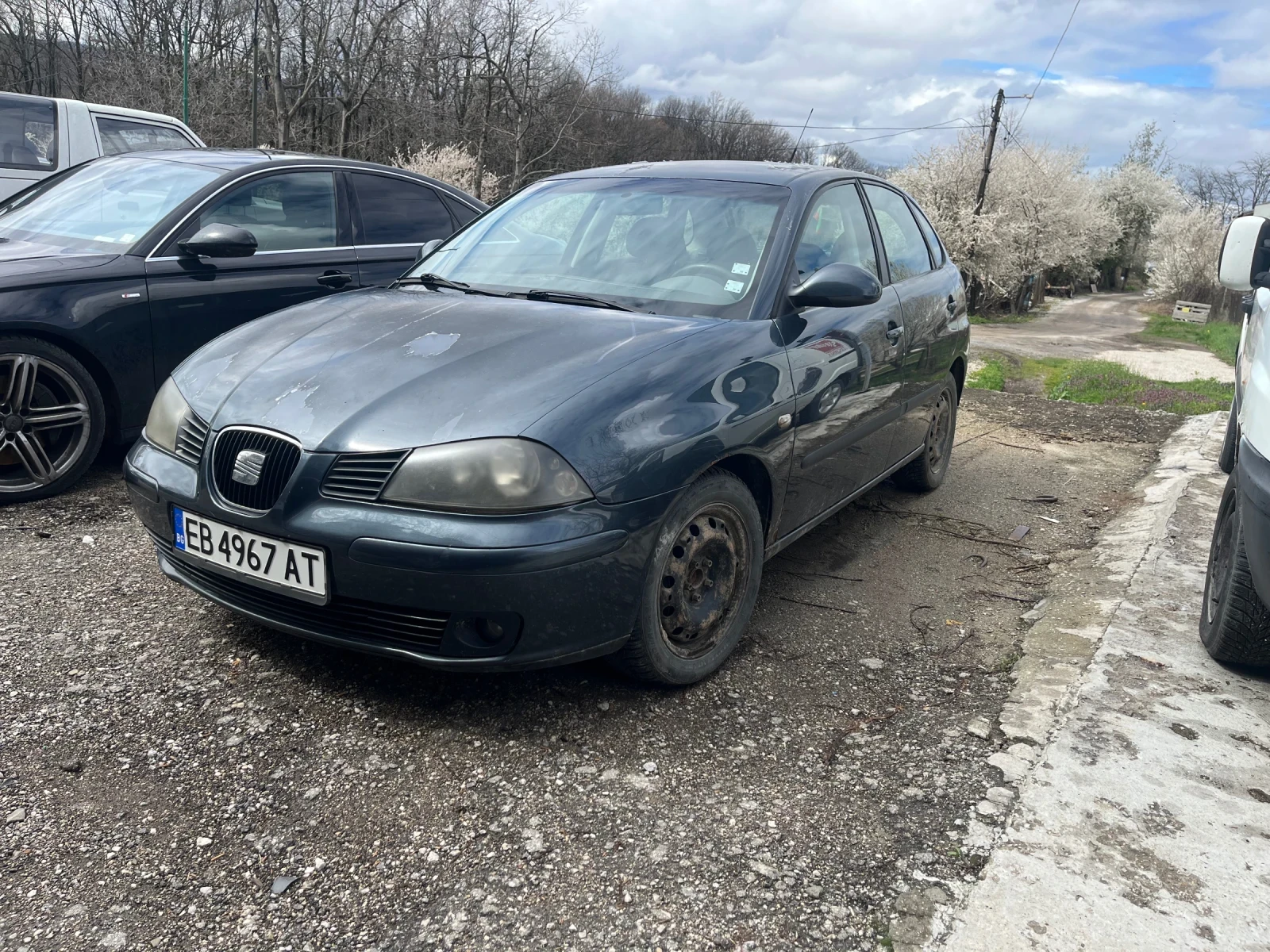 Seat Ibiza 1.9 Tdi 