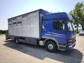    Mercedes-Benz Atego 1229