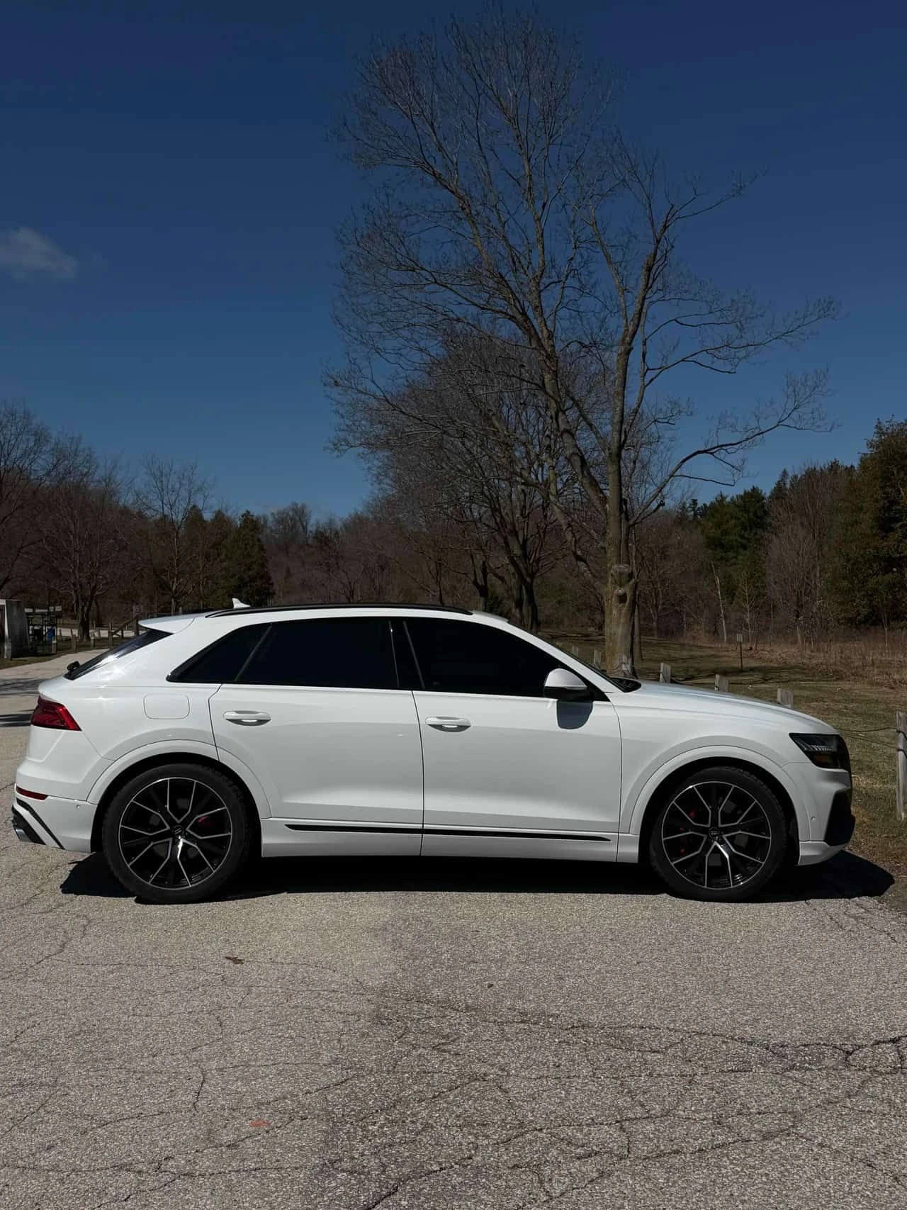 Audi SQ8 4.0 TFSI quattro/ДИСТРОНИК/ПАНОРАМА/ОБДУХВАНЕ/360, снимка 4 - Автомобили и джипове - 54198927