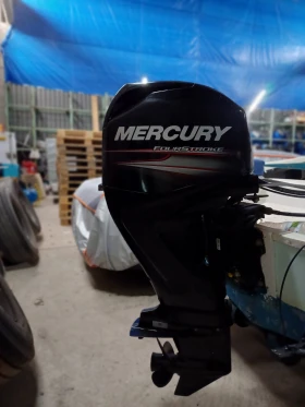       Mercury 60 EFI