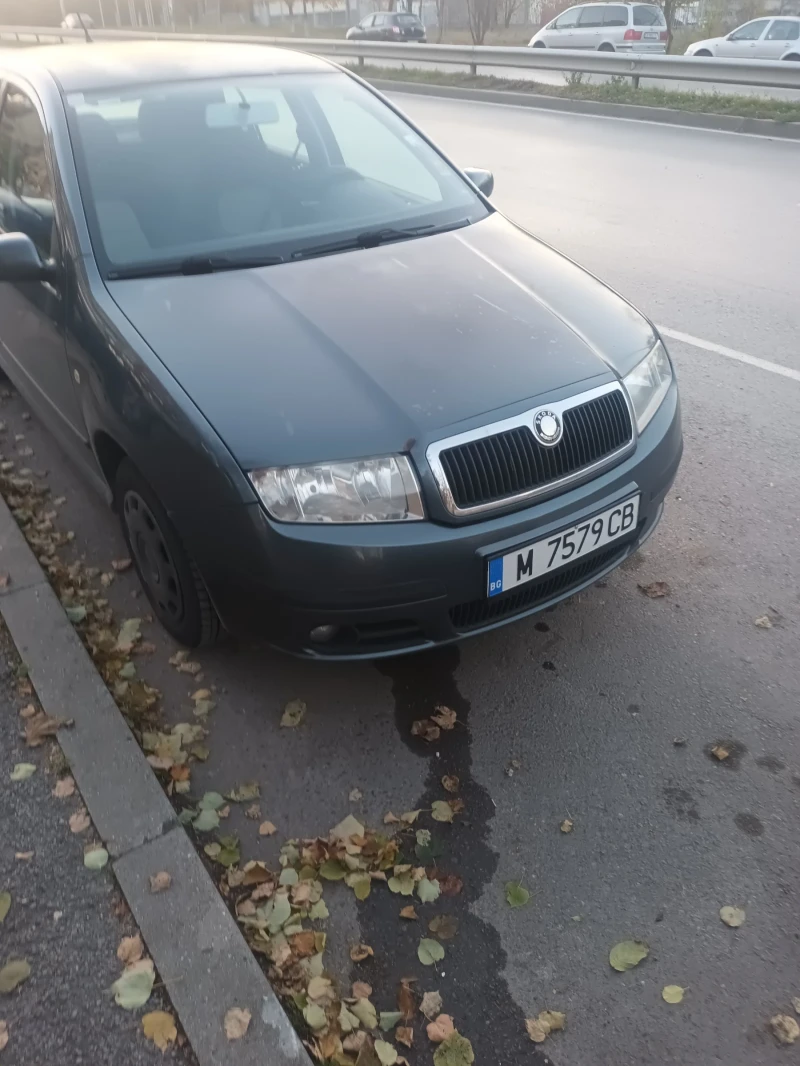 Skoda Fabia, снимка 1 - Автомобили и джипове - 48007272