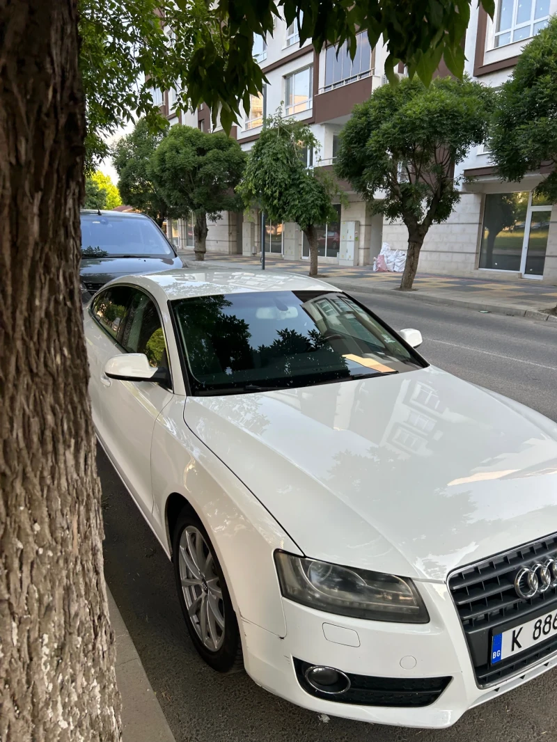 Audi A5 Audi A5 2010 2 TDi, снимка 14 - Автомобили и джипове - 52396939